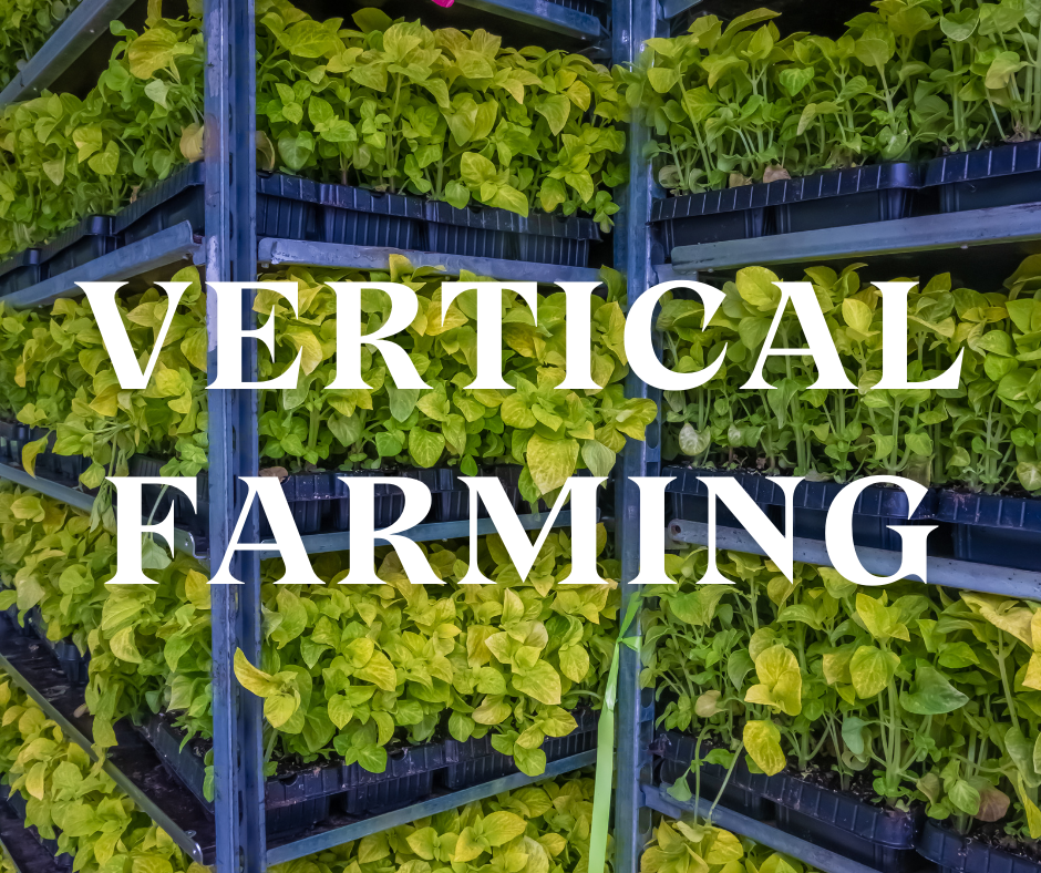 Stacked Plants at a Vertical Farm