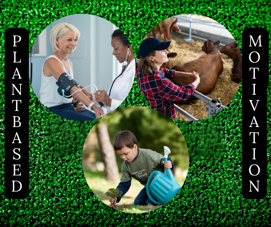 Plant-Based Diet Motivators: Heath, Animal Welfare, and Sustainability
